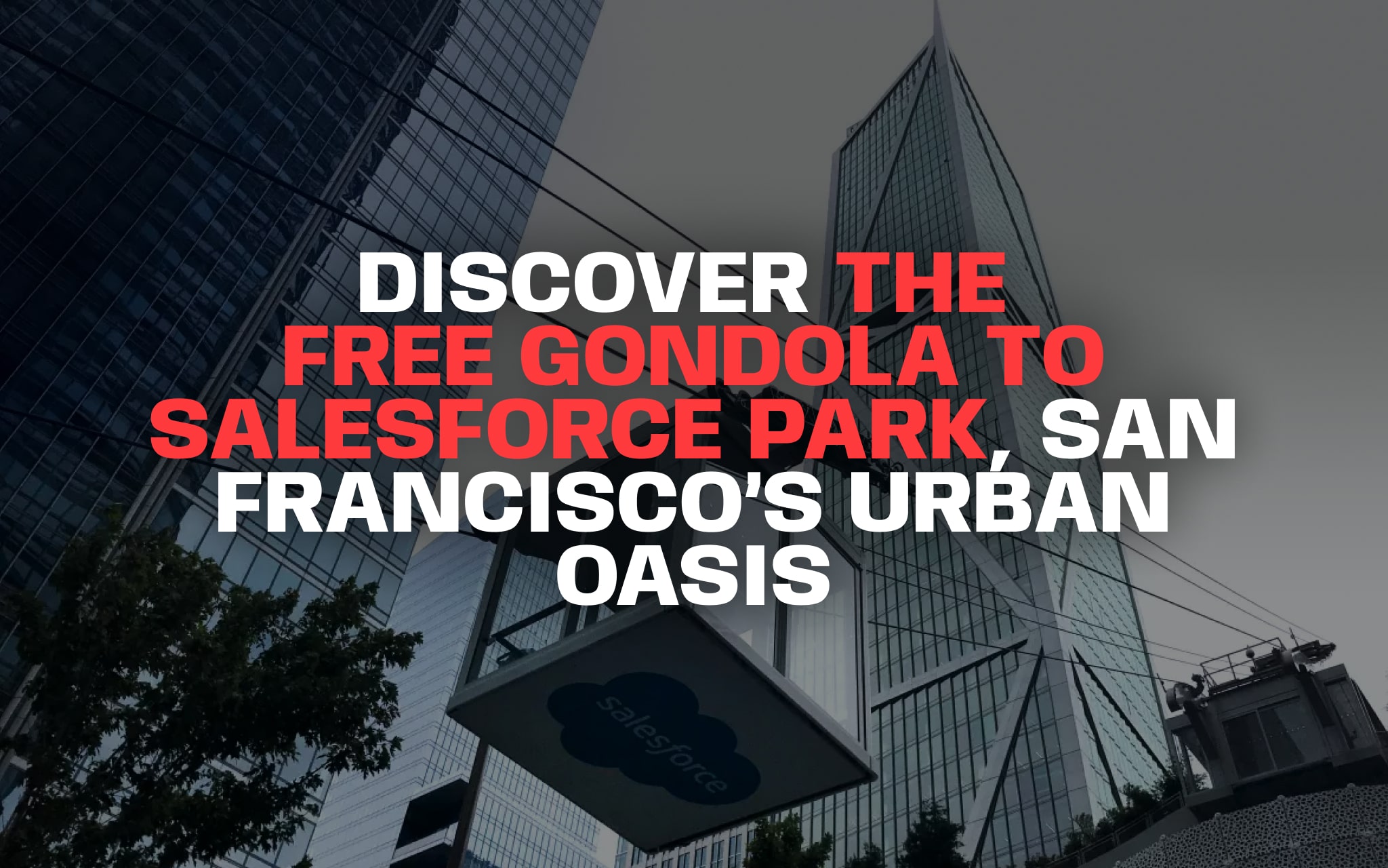 Salesforce Park