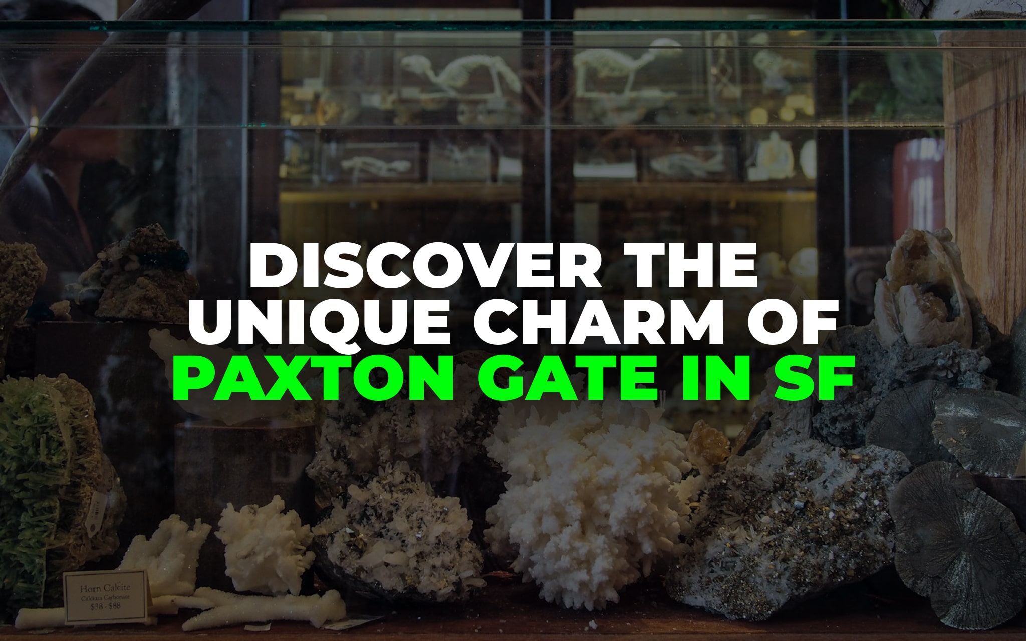 Paxton Gate