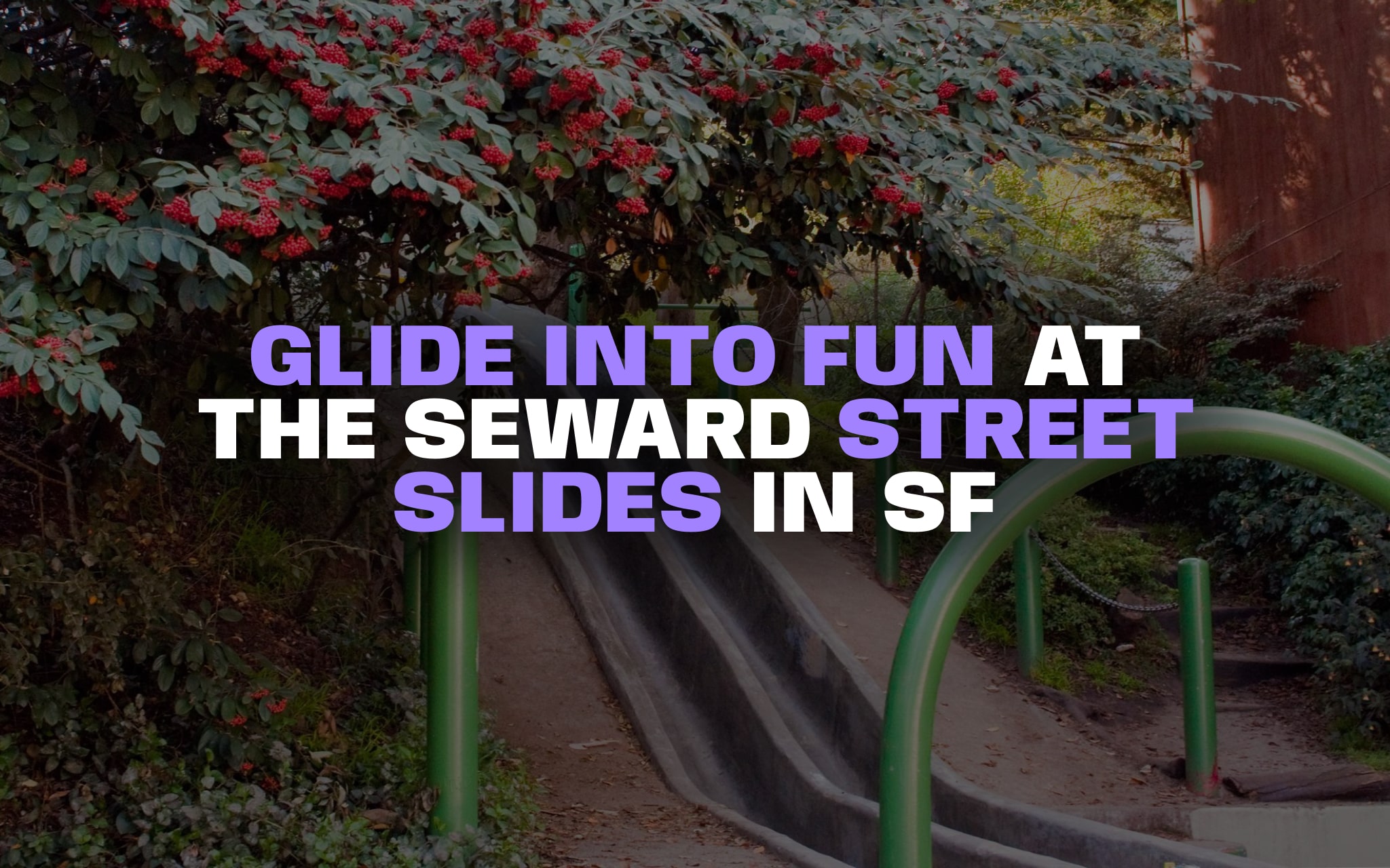 Seward Street Slides