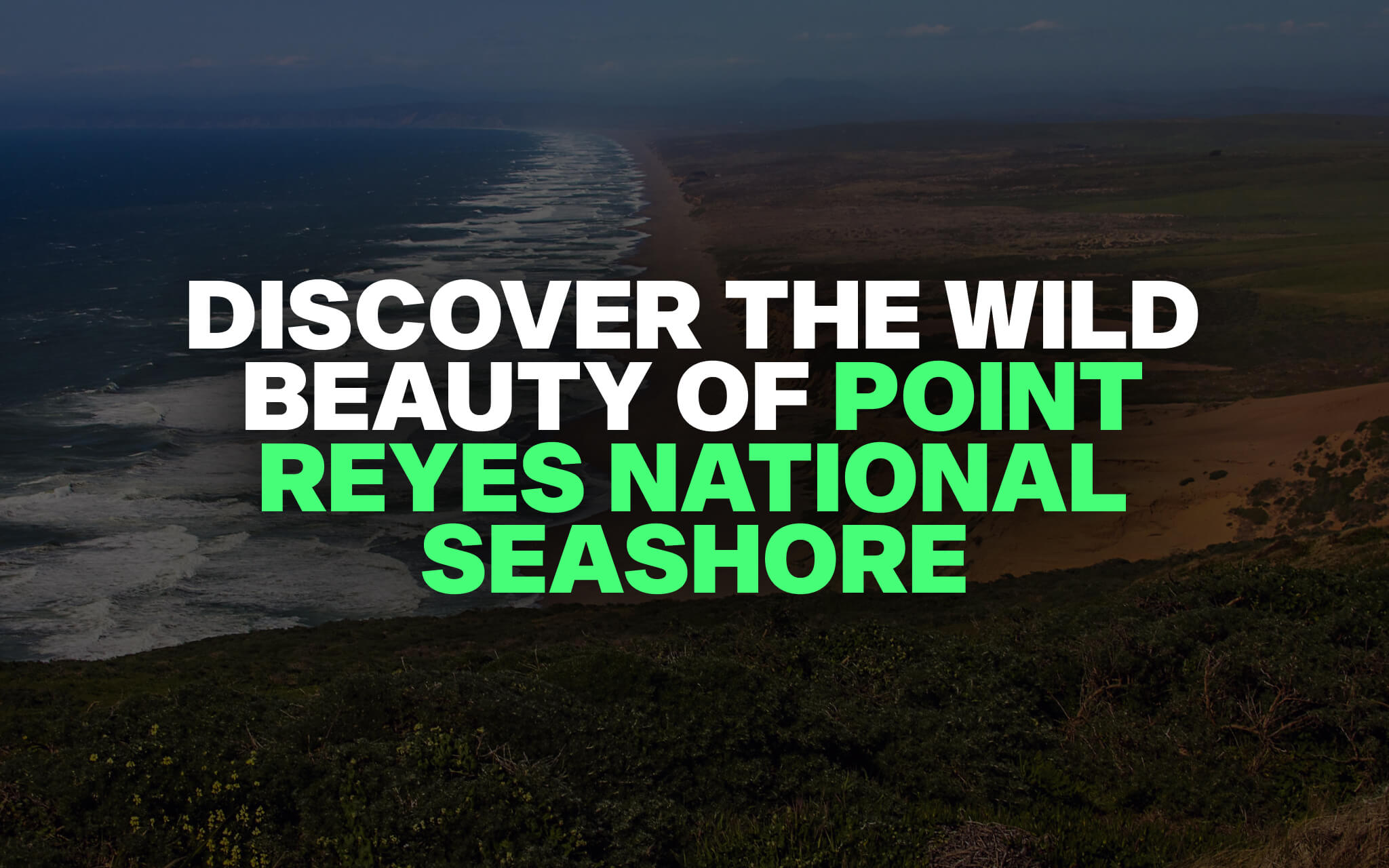 Point Reyes National Seashore