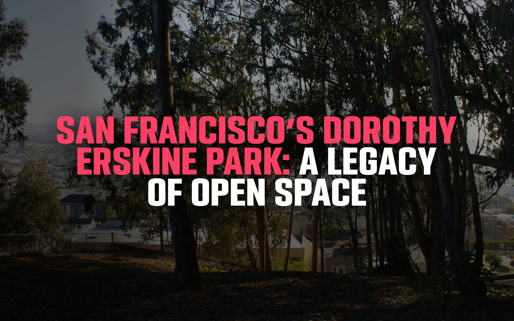 Dorothy Erskine Park